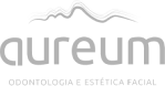 logo-cinza3